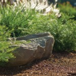 boulder lead