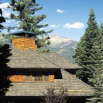 art_60154_roof1