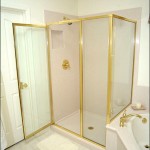 art_60449_Fig_lead_shower