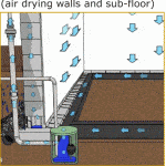 art_61013_B-dry