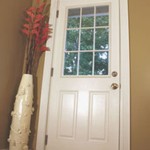 art_61124_0 1a1a1aBackDoorTTLead