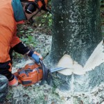How to use a chainsaw
