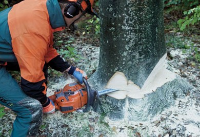 How to use a chainsaw