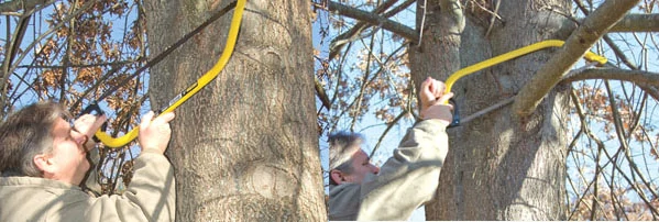 When trimming tree limbs, begin with an undercut.