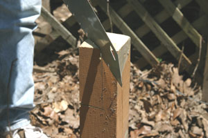 Using a sharp handsaw, make the vertical cut from the top of the post.