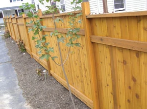 Show is the completed fence, constructed from Western Red Cedar.