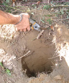 In another instance of "be-ready-with-your-landscape-stuff," pruners save the day cutting roots out of this hole.