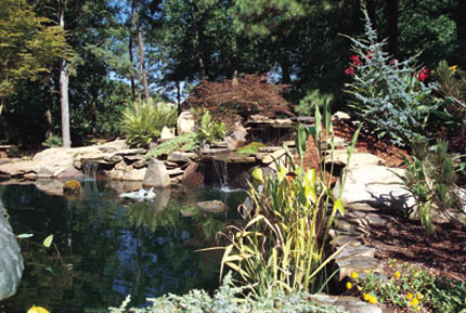 Diggin' Peace: Create a Water Garden - Extreme How To