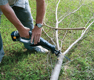 battery operated tree pruner