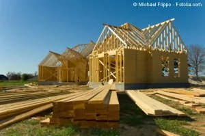 By using roughly half of the currently required mortgage down payment to purchase a developed lot in a subdivision, the homeowner still has the remaining half to purchase enough materials to "black-in" a modest home.