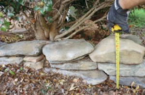 stbord11 Although the border required more stones at one end than the other, the height never exceeded more than 14", so I didn't use mortar. If building a wall taller than a couple of feet, pitch the wall backward, backfill with loose stone and use mortar at the rear of the stones.