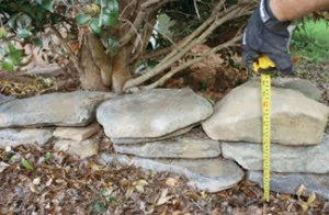 Although the border required more stones at one end than the other, the height never exceeded more than 14", so I didn't use mortar. If building a wall taller than a couple of feet, pitch the wall backward, backfill with loose stone and use mortar at the rear of the stones.