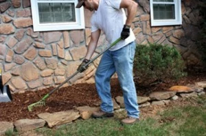 I filled the interior of the rock garden area with cedar mulch, sloping the ground away from the house.