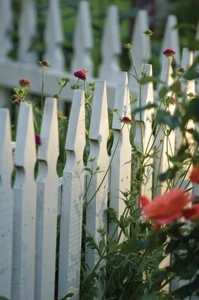 Letting the garden spill through the pickets creates a nice blend of fence and landscaping.