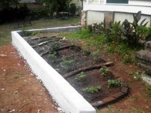 The garden was inspired by the French intensive gardening style that utilizes inter-cropped plants in loose, well drained soil. To help achieve this, we added topsoil to the new bed along with several bags of humus and manure. We then sectioned off the various plants with old bricks.