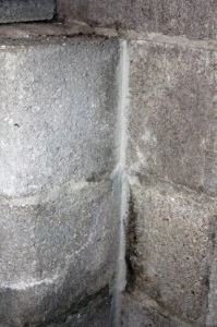Joints between walls and walls and floor can also be patched with hydraulic cement.