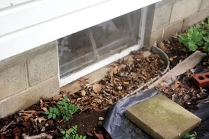 Water can also collect around and wash into window wells. Keep window wells clean and free of debris. A foot layer of coarse rock also helps drainage.
