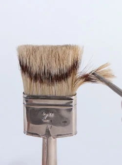 Professional quality, natural-bristle brushes may have a combination of badger, hog ear and skunk bristles.