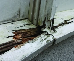 On some windows water intrusion had resulted in sills that were completely ruined by rot. 