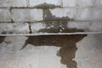Hydrostatic pressure forces water through this foundation wall, which indicates a drainage problem outside the home.