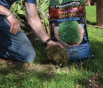 Ironically, the thatch we pull out of the lawn with the power rake is ideal for holding seed on bare spots. After sowing the seed, loosely sprinkle thatch on the area and gently water until the seed and thatch set.