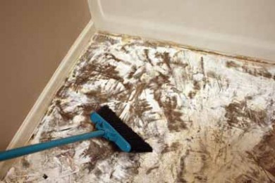 Easy Installation of Adhesive Vinyl - Extreme How To