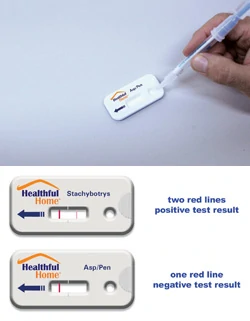 Healthful Home 5-Minute Mold Test