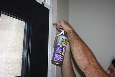 Seal around the jamb with low-expanding spray foam. 