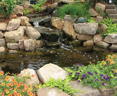 A waterfall is the most popular feature of backyard ponds. In fact, some water-falls are pondless, featuring only the waterfall without the pool beneath it. 