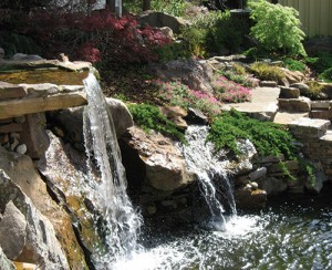 Water Gardens Make A Backyard Paradise Extreme How To
