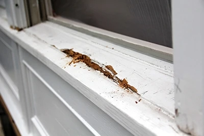 Rot that occurs deep inside of the sill is more difficult to repair. 