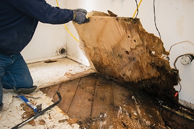 Replacing Subfloor In Old House - Vintalicious.net