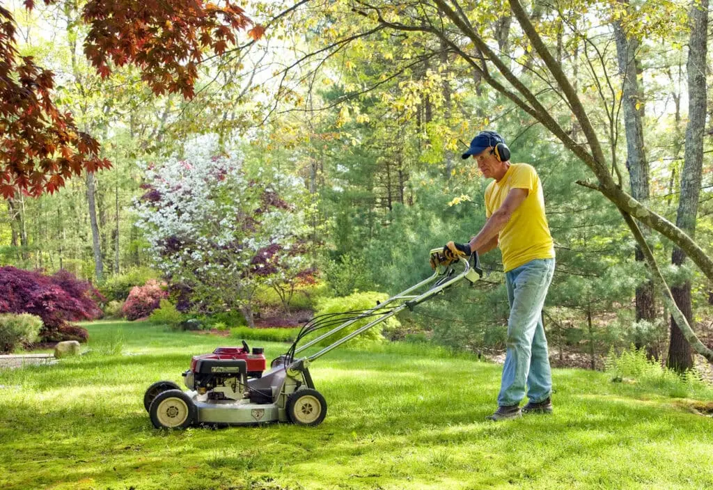 Springtime Lawn and Garden Checklist
