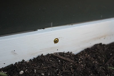 These window boxes were mounted with RSS Structural Screws from GRK Fasteners, which include a washer-style pan head for reliable holding power.