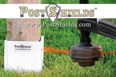 Post-Shields-Article-Picture
