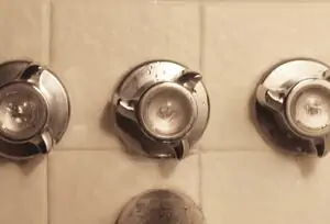 Shower diverter valve