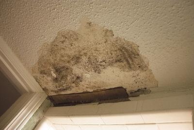 How To Remove Mold From Popcorn Ceiling Mycoffeepot Org