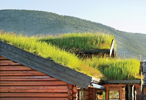 Create A Green Roof Extreme How To - Diy Green Roof Trays