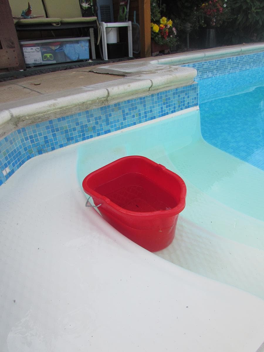 Is Your Swimming Pool Leaking? Here's how to find out. Extreme How To