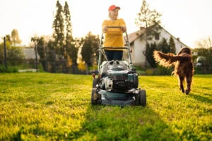 Mowing the grass