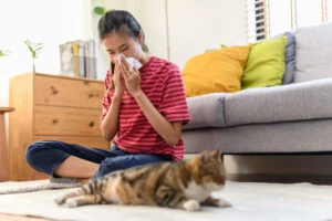 reduce allergens in the home