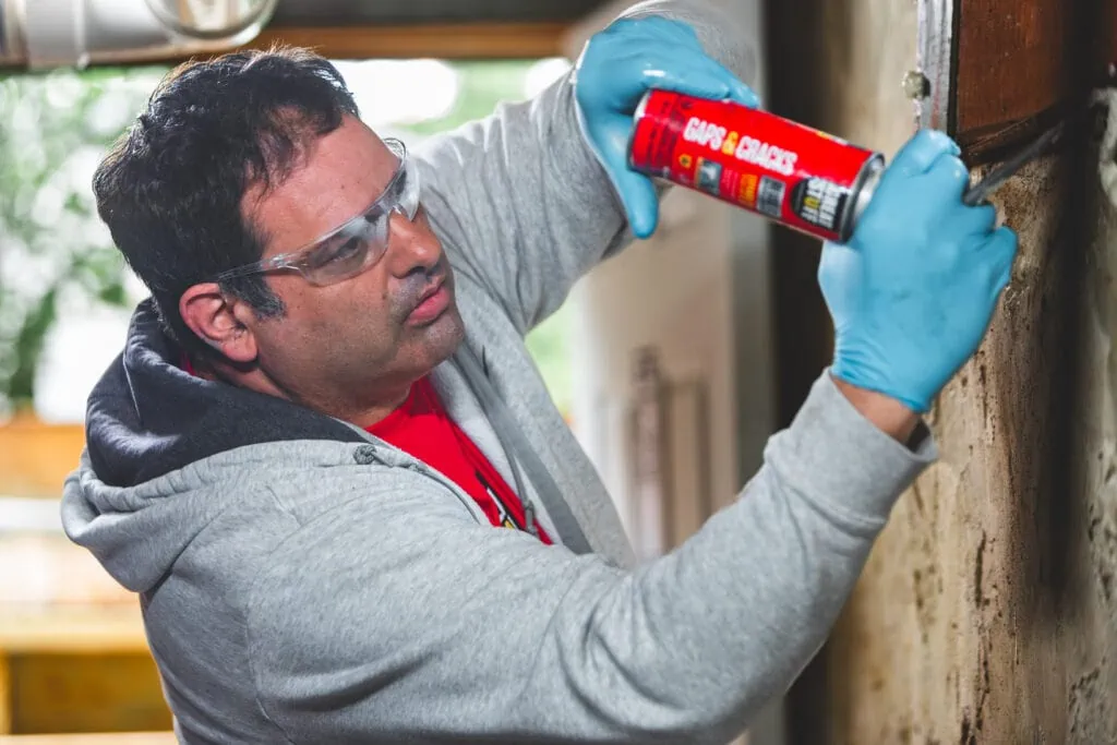 Great Stuff™ Insulating Foam Sealant 