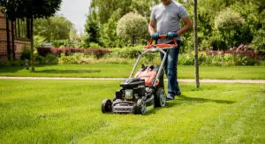 Lawn and landscape equipment