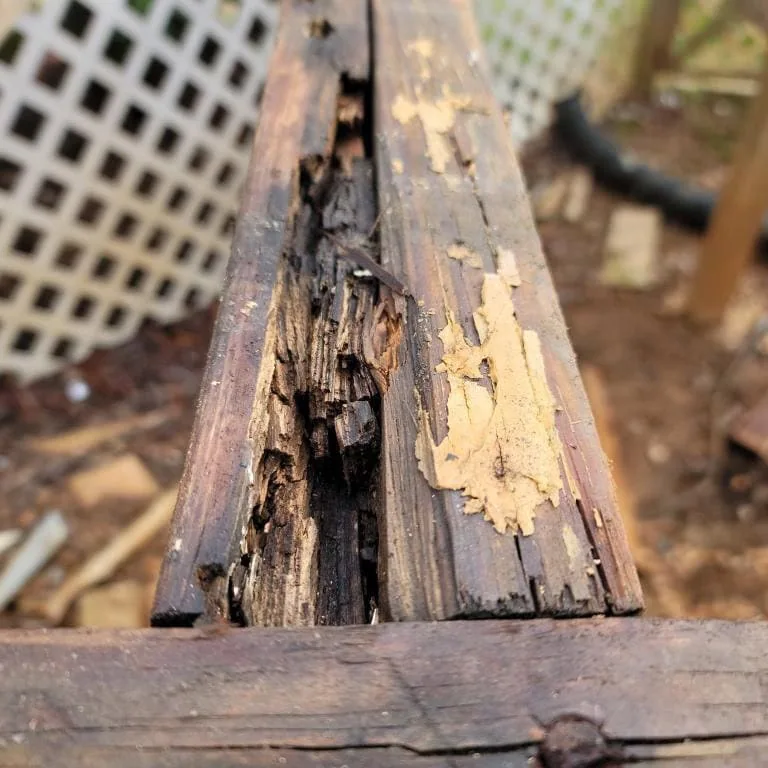 Rotted deck joist