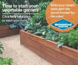 Garden Bed Plans