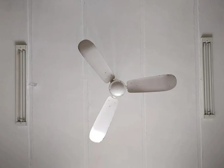 Ceiling fan