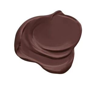 Dutch Boy® Paints Old Chaparral