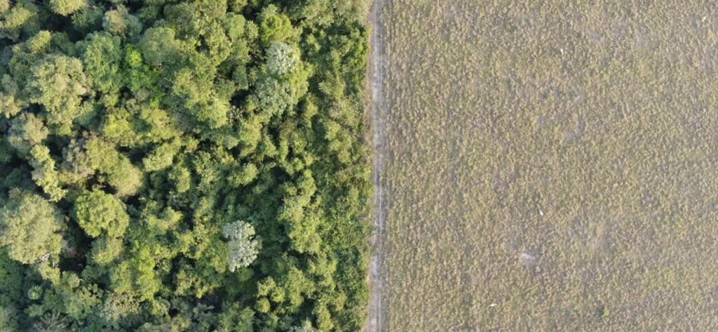 Drone image