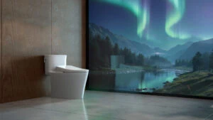 Aurora WASHLET