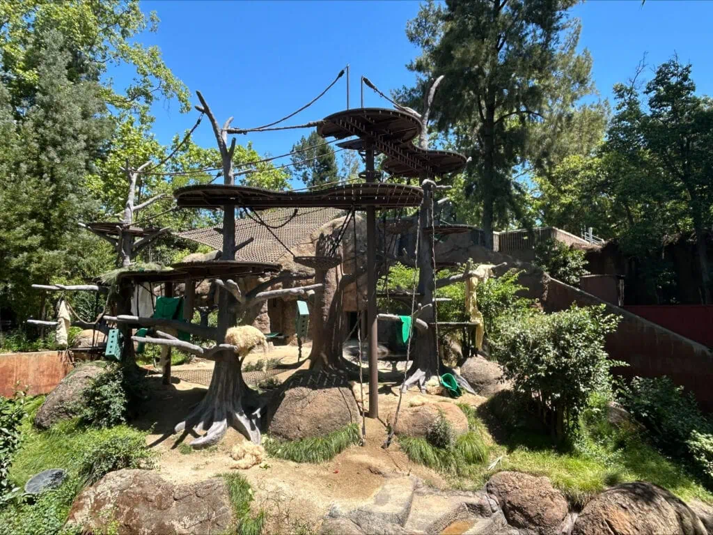 Orangutan Habitat Sacramento Zoo